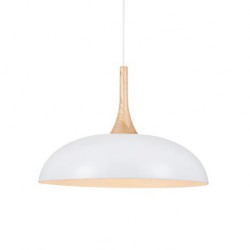 Mini Artistic Pendant Lamp/1 Light/Modern Simplicity/Black/White/Finish Aluminum & Wooden Droplight