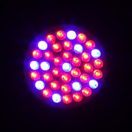 2W E27 38LED 100LM 28Red+10Blue Hydroponic Garden Flower Light LED Plant Grow Growth Light (220V)