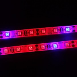 2Pcs 5M Grow LED Flexible Strip Tape Light 4 Red 1 Blue Greenhouse Hydroponic Plant Growing Lamp with Driver