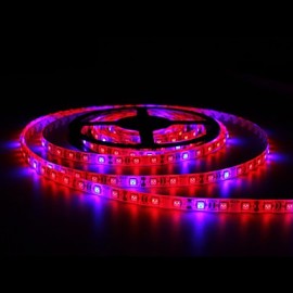 2Pcs 5M Grow LED Flexible Strip Tape Light 4 Red 1 Blue Greenhouse Hydroponic Plant Growing Lamp with Driver