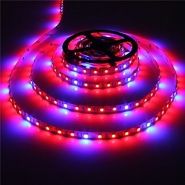 2Pcs 5M Grow LED Flexible Strip Tape Light 4 Red 1 Blue Greenhouse Hydroponic Plant Growing Lamp with Driver