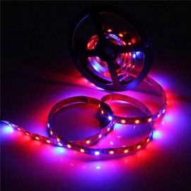 2Pcs 5M Grow LED Flexible Strip Tape Light 4 Red 1 Blue Greenhouse Hydroponic Plant Growing Lamp with Driver