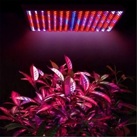 10W 225LED 77Red+47Blue+77Orange+24White LED Grow Light Panel Hydroponic Plant Lamp US(110V)