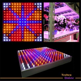 10W 225LED 77Red+47Blue+77Orange+24White LED Grow Light Panel Hydroponic Plant Lamp US(110V)