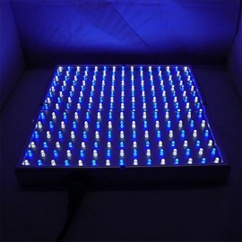 10W 225LED 112Blue+113White LED Aquarium Lights EU(220V)