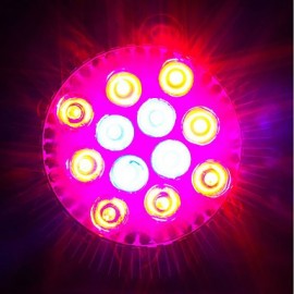 12W E27 LED Grow Lights 12 High Power LED 1080-1200 lm Red Blue AC85-265 V 1 pcs