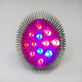 E25 12W 10Red and 2Blue Light LED Spot Bulb Plant Grow Light (AC100-265V)