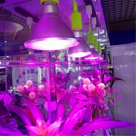 Plant Growth Light Aquatic Vegetable Greenhouse Flower Orchid Succulents Fill Light(E27 10W)