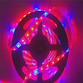 5M 5Red1Blue 300LED SMD5050 IP65 Hydroponic Systems Led Plant Grow Light Waterproof Led(DC12V)