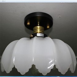 Imitation Jade Glass Retro Personality 1 Head Lotus Ceiling Light