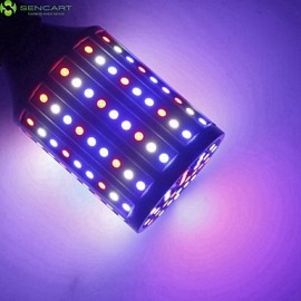 E27 B22 E14 GU10 25W 138x5050SMD LED Plant Grow Light AC85-265 / AC12V