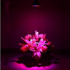 12W E26/E27 LED Grow Lights PAR30 12 High Power LED lm Red / Blue AC 85-265 V 1 pcs