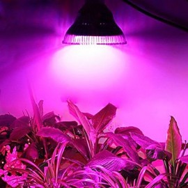 12W E26/E27 LED Grow Lights PAR30 12 High Power LED lm Red / Blue AC 85-265 V 1 pcs