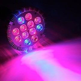 12W E26/E27 LED Grow Lights PAR30 12 High Power LED lm Red / Blue AC 85-265 V 1 pcs