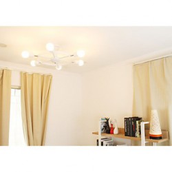 The Entrance Regulation Control Bedroom Ceiling Lamps