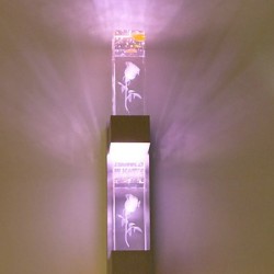 Multi-Color AC2 LED Integrated LED Novelty Feature for Mini Style Ambient Light Wall Sconces Wall Light Lamp Rose Light