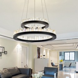 Modern Fashion Double Circle Crystal Pendant Lights