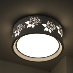 25W Led Light Flush Mount Modern/Contemporary / Ceiling Light Bedroom/Livingroom/Kids Room/Entry/ Hallway/ Metal